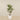 -Artificial Draecena Tree 150cm-Bloomr
