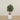 '-Artificial Olive Tree 120cm-Bloomr