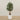 '-Artificial Olive Tree 150cm-Bloomr