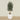 '-Artificial Olive Tree 180cm-Bloomr
