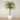 Trees-Artificial Phoenix Palm 300cm-Bloomr