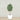 Trees-Artificial Olive Tree 180cm-Bloomr