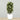 -Artificial Croton Plant 150cm-Bloomr