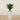 Trees-Artificial Yucca Plant 75cm-Bloomr