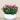 Floral Arrangement-Artificial Torenia Arrangement-Bloomr
