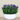 Floral Arrangement-Artificial Torenia Arrangement-Bloomr