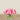 Floral Arrangement-Artificial Ranunculus Arrangement in Glass Vase-Bloomr