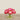 Floral Arrangement-Artificial Ranunculus Arrangement in Glass Vase-Bloomr