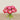 Floral Arrangement-Artificial Ranunculus Arrangement in Glass Vase-Bloomr