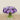 Floral Arrangement-Artificial Ranunculus Arrangement in Glass Vase-Bloomr