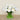 Floral Arrangement-Artificial Ranunculus Arrangement in Glass Vase-Bloomr