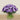 Floral Arrangement-Artificial Ranunculus Arrangement in Glass Vase-Bloomr
