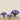Floral Arrangement-Artificial Ranunculus Arrangement in Glass Vase-Bloomr