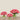 Floral Arrangement-Artificial Ranunculus Arrangement in Glass Vase-Bloomr