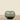 Vases-Glass Vase-Bloomr