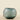 Vases-Glass Vase-Bloomr