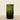 Vases-Glass Vase-Bloomr
