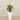 -Artificial Calathea Tree 60cm-Bloomr-Saudi