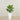 -Artificial Calathea Tree 70cm-Bloomr