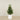 Artificial Laurel Tree 120cm