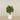 Artificial Schefflera Tree 120cm