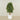 -Artificial Schefflera Tree 150cm-Bloomr