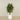 -Artificial Schefflera Tree 150cm-Bloomr