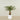 -Artificial Palm Tree 120cm-Bloomr