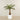 Artificial Palm Tree 150cm