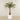 -Artificial Palm Tree 180cm-Bloomr-Saudi