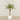 -Artificial Phoenix Palm 180cm-Bloomr