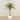 -Artificial Phoenix Palm Tree 210cm-Bloomr