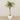-Artificial Phoenix Palm 270cm-Bloomr