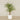 -Artificial Areca Palm 210cm-Bloomr