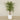 Artificial Areca Palm Tree 260cm