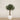 Trees-Artificial Olive Tree 270cm-Bloomr