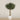 Trees-Artificial Olive Tree 350cm-Bloomr