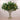 -Artificial Ming Aralia Arrangement in Glass Vase-Bloomr