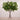 Floral Arrangement-Artificial Beech Spray Arrangement in Glass Vase-Bloomr