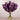 Floral Arrangement-Artificial Vanda Arrangement in Glass Vase-Bloomr