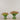 -Artificial Calla lily Arrangement in Glass Vase-Bloomr