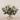-Berry Arrangement in Glass Vase-Bloomr