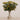 -Berry Arrangement in Glass Vase-Bloomr