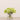 -Allium Arrangement in Glass Vase-Bloomr