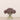 -Allium Arrangement in Glass Vase-Bloomr