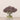 -Allium Arrangement in Glass Vase-Bloomr