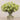 -Allium Arrangement in Glass Vase-Bloomr