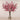 -Artificial Leptospermum Arrangement in Glass Vase-Bloomr