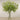 -Artificial Grevillea Arrangement in Glass Vase-Bloomr