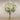 Floral Arrangement-Artificial Ceratopetalum Arrangement in Glass Vase-Bloomr